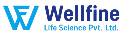 logo__1_-removebg-preview